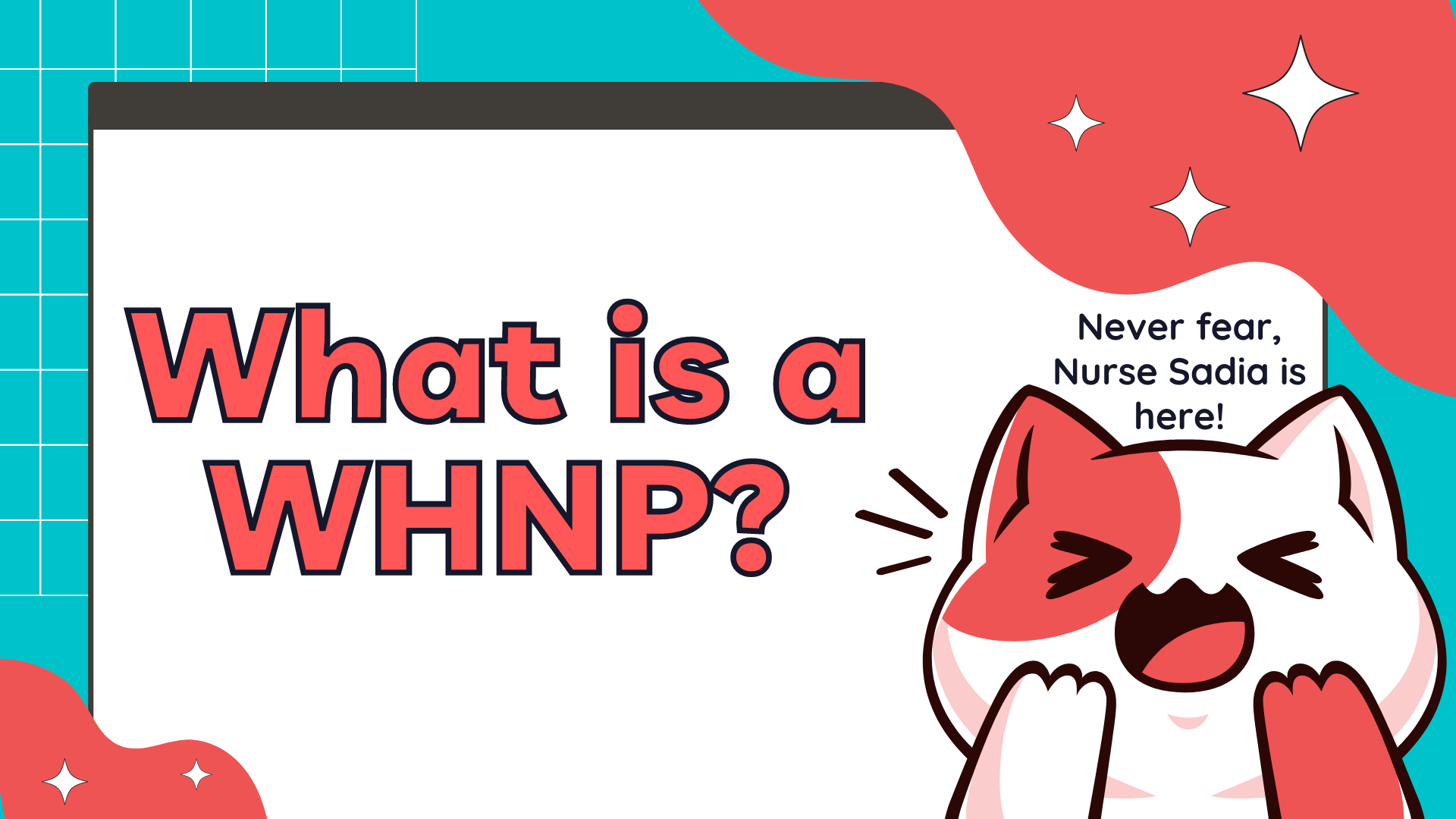 what-is-a-whnp-your-top-10-questions-easily-answered